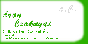 aron csoknyai business card